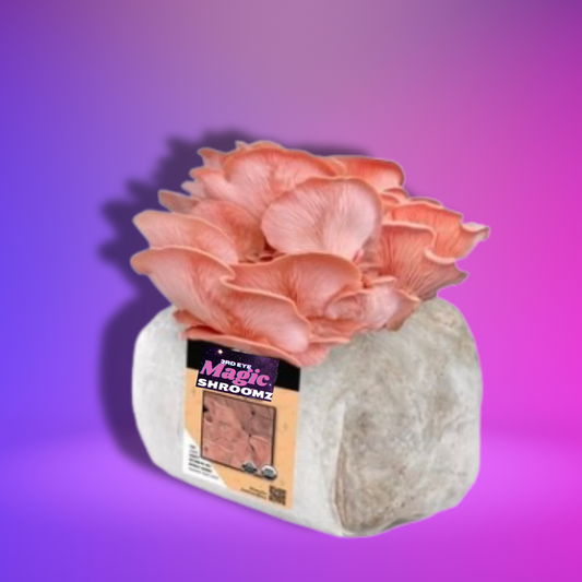 Organic Pink Oyster Mushroom Grow Kit