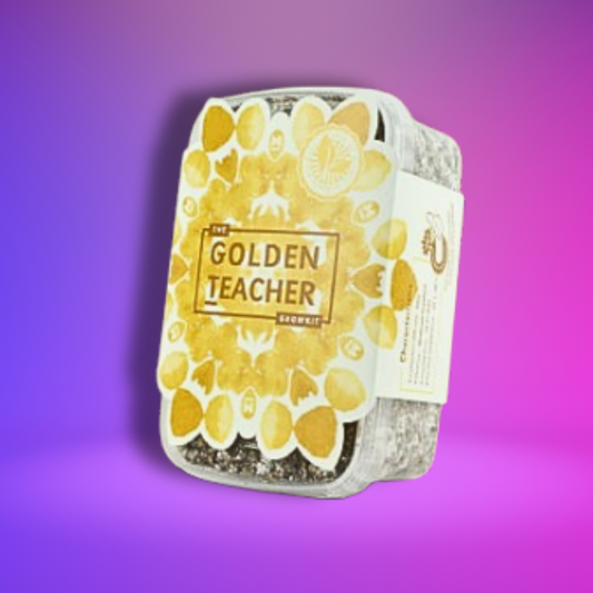 Golden Teacher Grow Kit